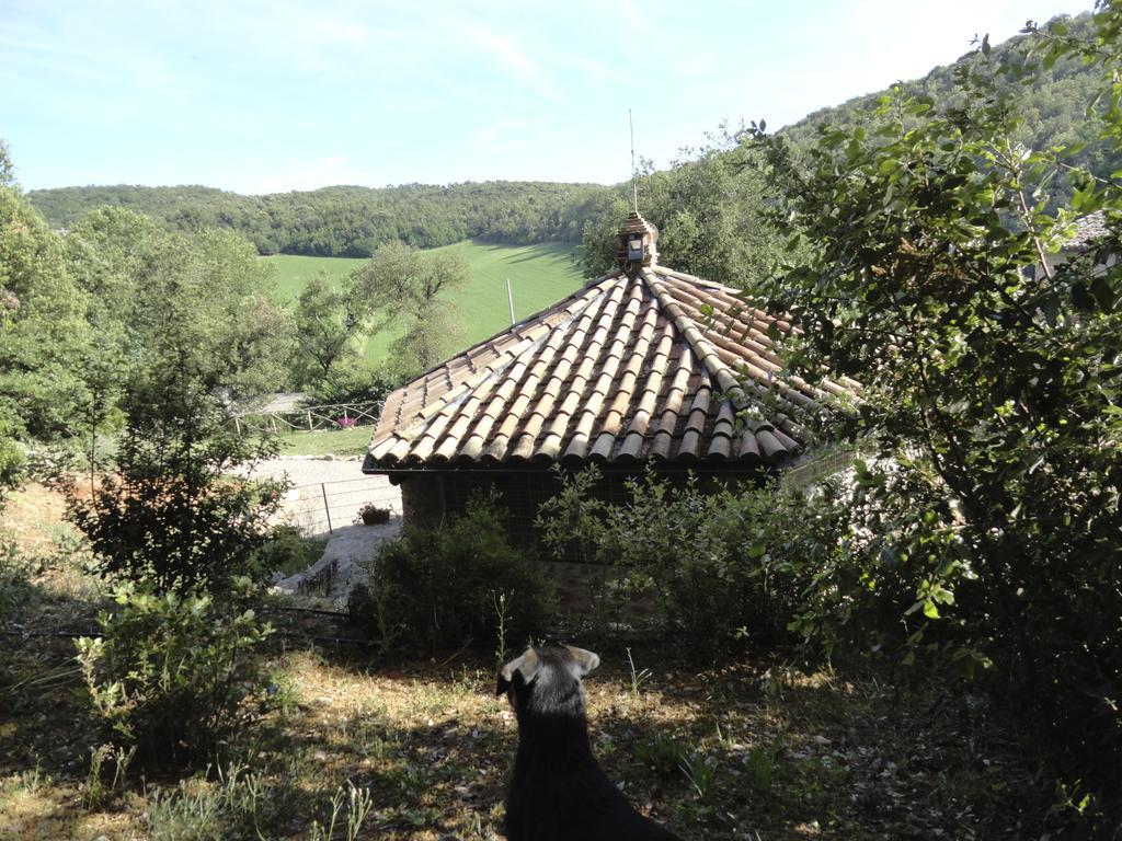 Agriturismo I Sassi Grossi Guest House Corciano Exterior photo